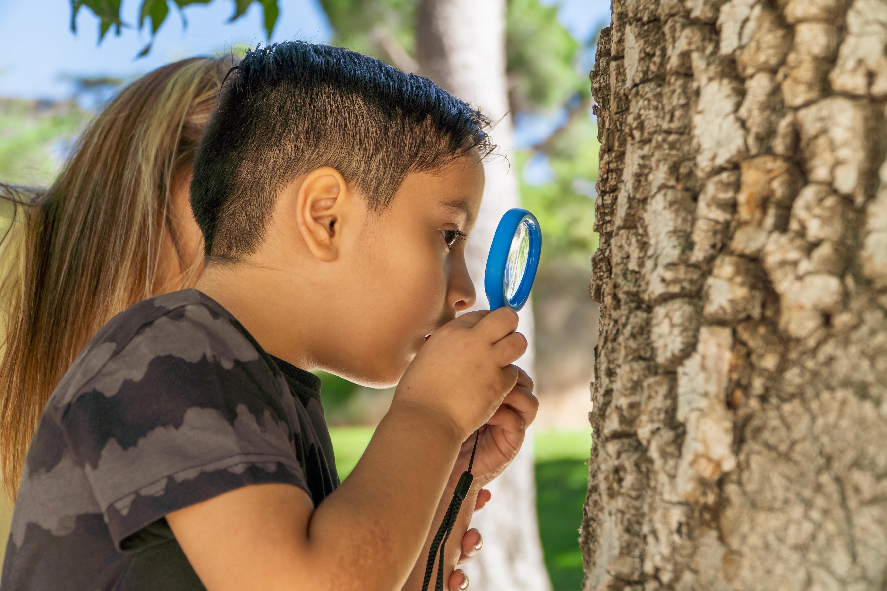young boy with magnifying glass studies the bark of a tree