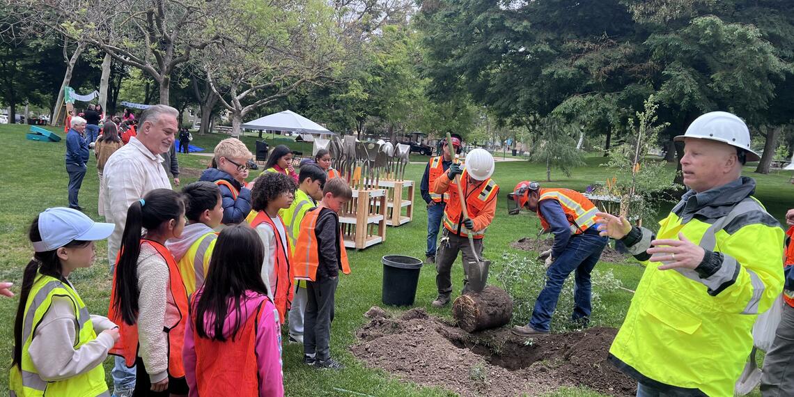 tree planting