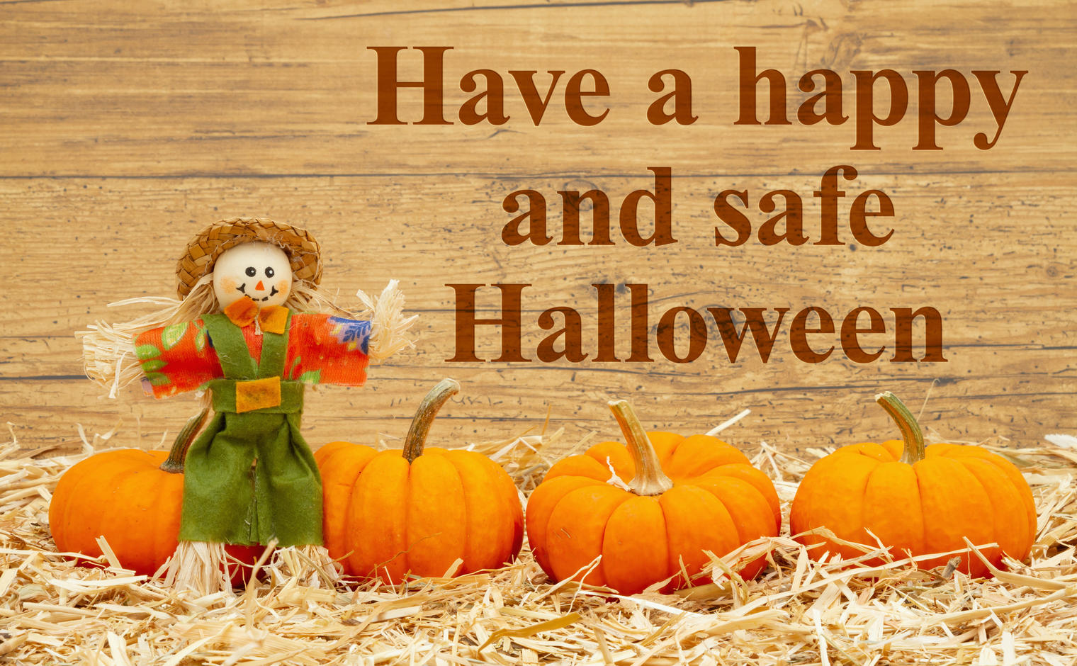 smiling scarecrow and pumpkins