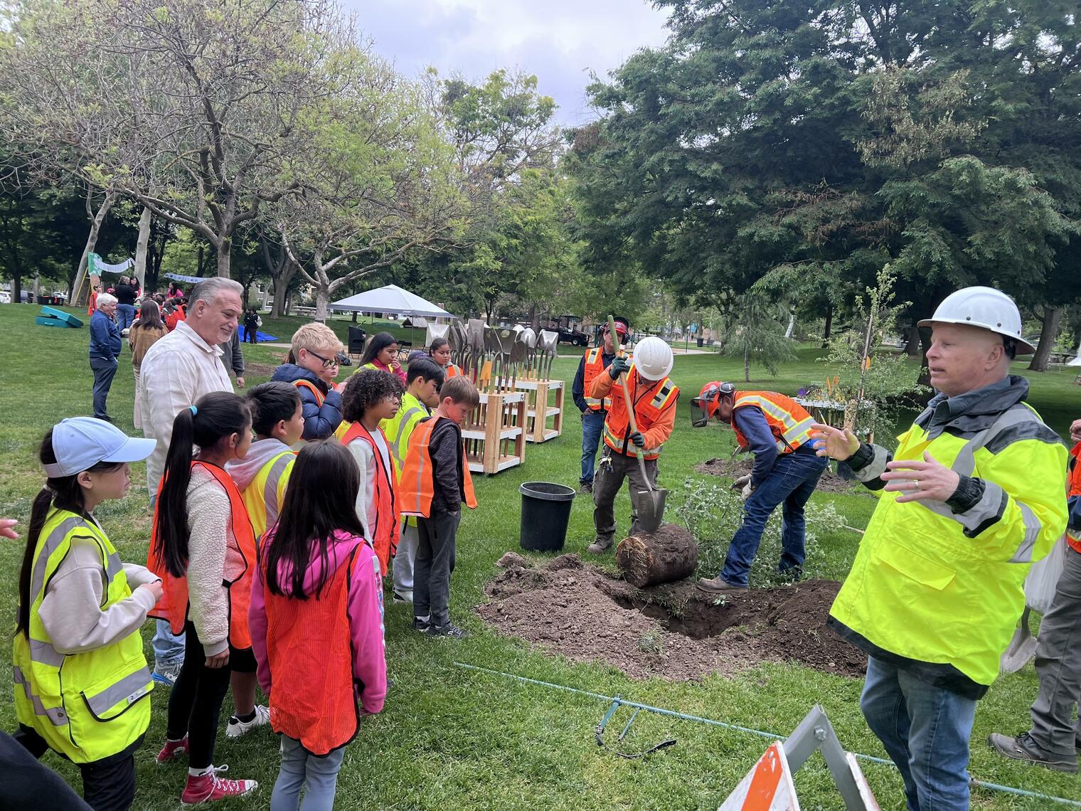 tree planting