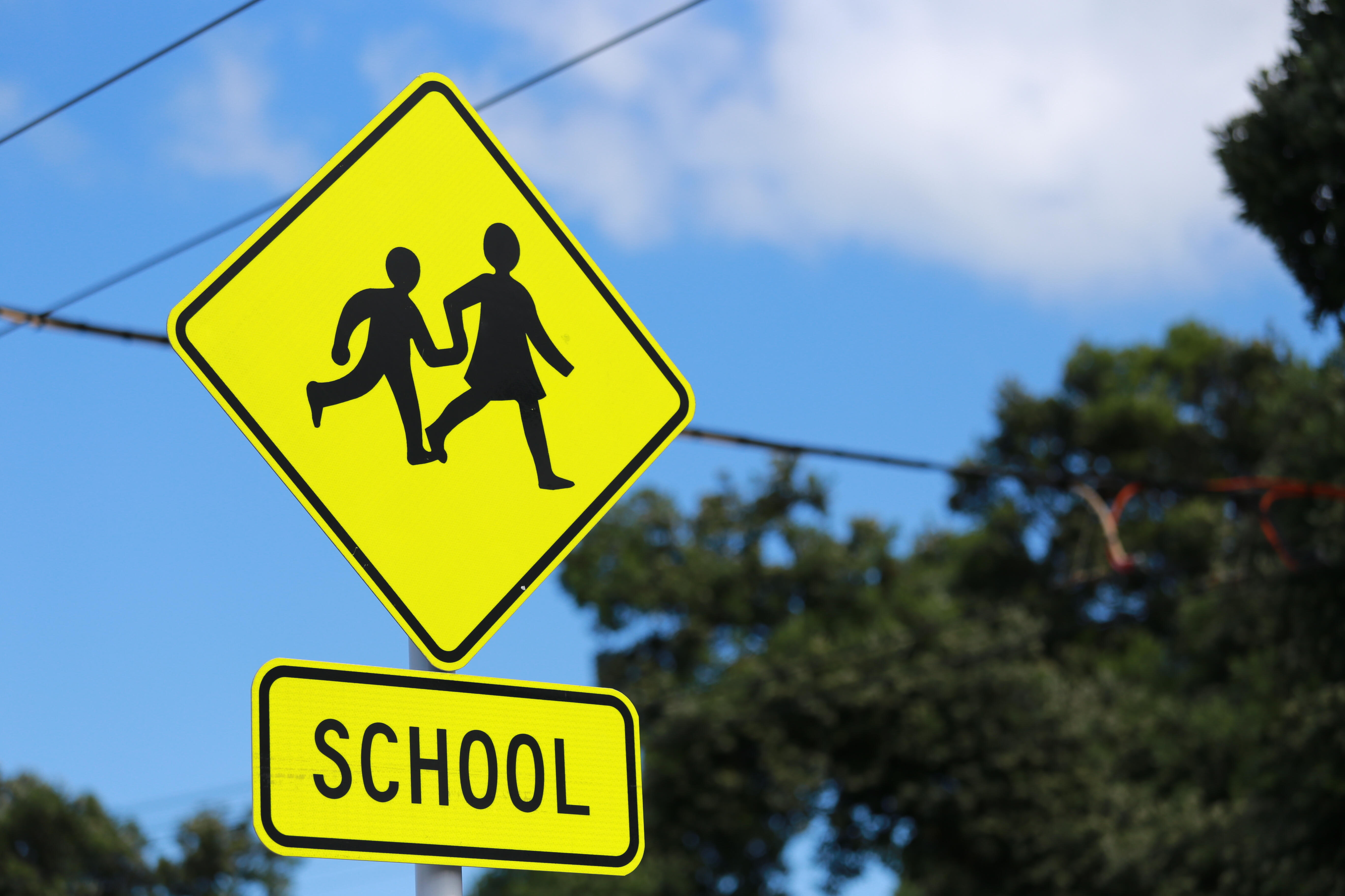 school pedestrian sign